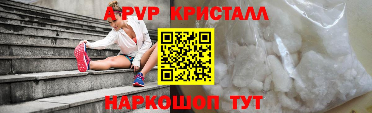 Alfa_PVP СК КРИС Вятские Поляны