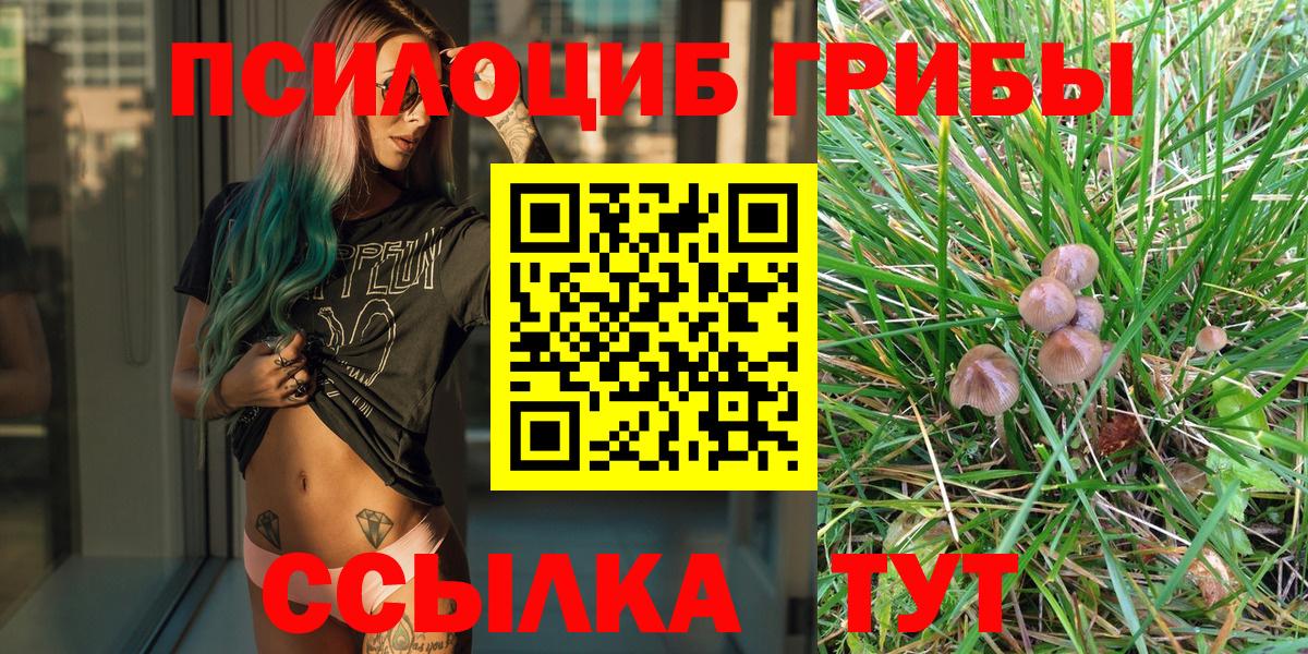 Псилоцибиновые грибы мухоморы Вятские Поляны