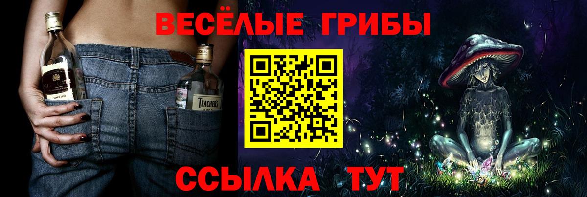 Вятские Поляны  Галлюциногенные грибы мицелий  Вход с VPN 
